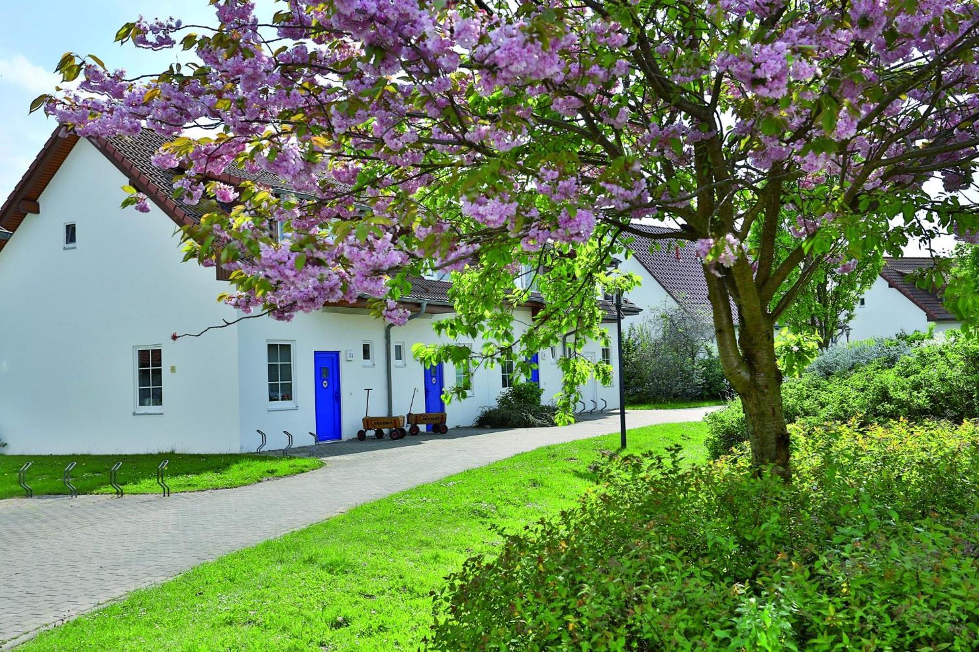 Feriendorf 奥斯特巴德里克 外观 照片